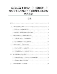 2026-2030中國TMS（經顱磁刺激）線圈行業市場發展趨勢與前景展望戰略分析研究報告