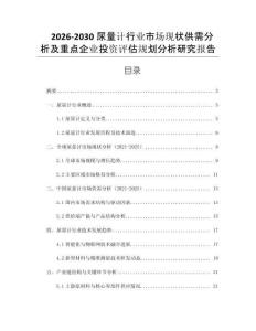 2026-2030尿量計行業市場現狀供需分析及重點企業投資評估規劃分析研究報告