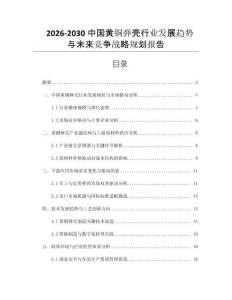 2026-2030中國黃銅彈殼行業發展趨勢與未來競爭戰略規劃報告