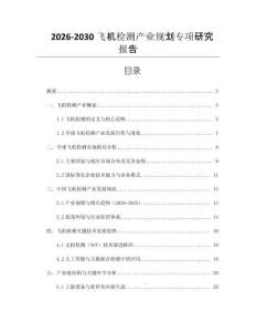2026-2030飛機檢測產(chǎn)業(yè)規(guī)劃專項研究報告