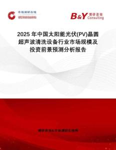 2025年中國(guó)太陽能光伏(PV)晶圓超聲波清洗設(shè)備行業(yè)市場(chǎng)規(guī)模及投資前景預(yù)測(cè)分析報(bào)告