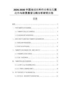 2026-2030中國當(dāng)鋪軟件行業(yè)市場發(fā)展趨勢與前景展望戰(zhàn)略分析研究報告