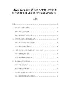 2026-2030即熱式電熱水器行業(yè)行業(yè)市場發(fā)展分析及政策建議與策略研究報告