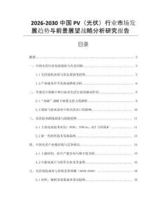 2026-2030中國PV（光伏）行業(yè)市場發(fā)展趨勢與前景展望戰(zhàn)略分析研究報告