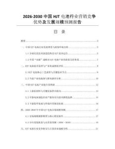 2026-2030中國HJT電池行業(yè)營銷競爭優(yōu)勢及發(fā)展規(guī)模預(yù)測報告