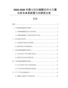 2026-2030中國電鍍級硫酸鎳行業(yè)發(fā)展現(xiàn)狀與未來前景預測研究報告