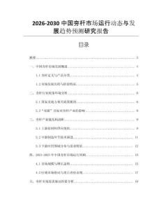 2026-2030中國夯桿市場運行動態與發展趨勢預測研究報告