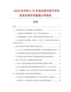 2025及未來(lái)5-10年油壓脈沖扳手項(xiàng)目投資價(jià)值市場(chǎng)數(shù)據(jù)分析報(bào)告
