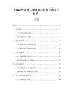 2026-2030高壓清洗機項目融資商業(yè)計劃書
