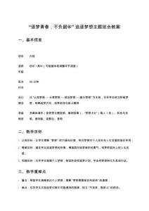 “逐夢青春，不負韶華”追逐夢想主題班會教案