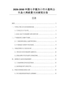 2026-2030中國電子握力計行業(yè)盈利態(tài)勢及應(yīng)用前景預(yù)測研究報告