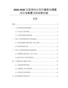 2026-2030三芯冷縮電纜終端市場深度調(diào)查與前景預(yù)測分析報告