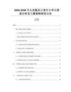 2026-2030嬰兒衣服去漬液行業(yè)市場(chǎng)深度分析及發(fā)展策略研究報(bào)告