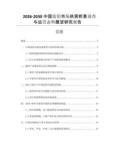 2026-2030中國(guó)廢鉛市場(chǎng)供需前景調(diào)查與運(yùn)營(yíng)態(tài)勢(shì)展望研究報(bào)告