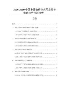 2026-2030中國多晶硅行業(yè)應(yīng)用態(tài)勢與需求趨勢預(yù)測報(bào)告