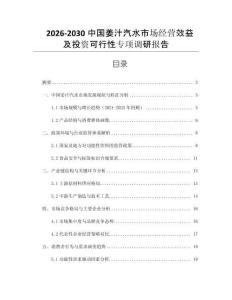 2026-2030中國姜汁汽水市場經(jīng)營效益及投資可行性專項(xiàng)調(diào)研報(bào)告