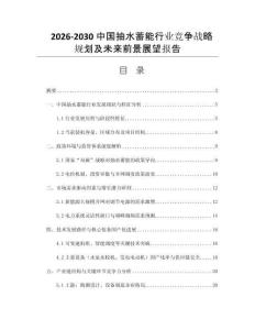 2026-2030中國抽水蓄能行業(yè)競爭戰(zhàn)略規(guī)劃及未來前景展望報(bào)告