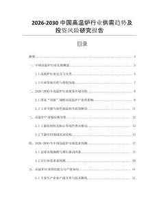 2026-2030中國高溫爐行業供需趨勢及投資風險研究報告