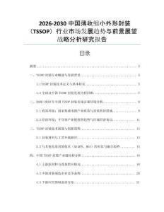 2026-2030中國(guó)薄收縮小外形封裝（TSSOP）行業(yè)市場(chǎng)發(fā)展趨勢(shì)與前景展望戰(zhàn)略分析研究報(bào)告