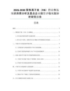 2026-2030聚焦離子束（FIB）行業市場現狀供需分析及重點企業投資評估規劃分析研究報告