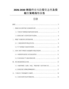 2026-2030棉毯行業(yè)風(fēng)險(xiǎn)投資態(tài)勢(shì)及投融資策略指引報(bào)告