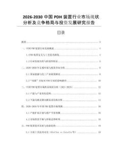 2026-2030中國(guó)PDH裝置行業(yè)市場(chǎng)現(xiàn)狀分析及競(jìng)爭(zhēng)格局與投資發(fā)展研究報(bào)告