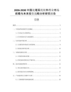 2026-2030中國處理系統(tǒng)軟件行業(yè)市場前瞻與未來投資戰(zhàn)略分析研究報告