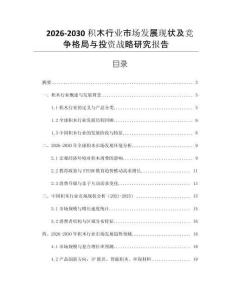 2026-2030積木行業(yè)市場發(fā)展現(xiàn)狀及競爭格局與投資戰(zhàn)略研究報告