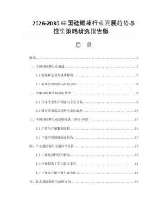 2026-2030中國硅碳棒行業發展趨勢與投資策略研究報告版