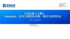 人形机器人行业专题5：Sim to Real，具身大模型的问题、现状与投资机会