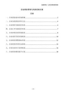 企業債務管理與風險控制方案