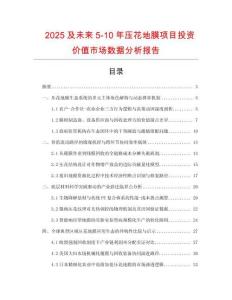 2025及未來5-10年壓花地膜項目投資價值市場數據分析報告