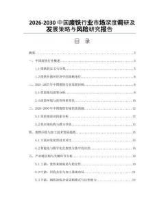 2026-2030中國(guó)廢鐵行業(yè)市場(chǎng)深度調(diào)研及發(fā)展策略與風(fēng)險(xiǎn)研究報(bào)告