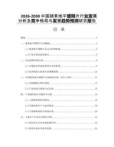 2026-2030中國硝苯地平緩釋片行業(yè)發(fā)展分析及競爭格局與發(fā)展趨勢預測研究報告