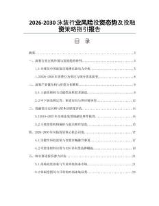 2026-2030泳裝行業(yè)風(fēng)險投資態(tài)勢及投融資策略指引報告