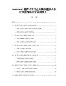 2026-2030資產(chǎn)托管行業(yè)并購重組機會及投融資戰(zhàn)略研究咨詢報告