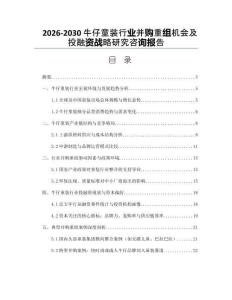 2026-2030牛仔童裝行業(yè)并購重組機會及投融資戰(zhàn)略研究咨詢報告