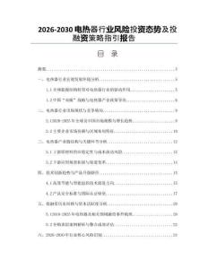 2026-2030電熱器行業(yè)風(fēng)險投資態(tài)勢及投融資策略指引報告