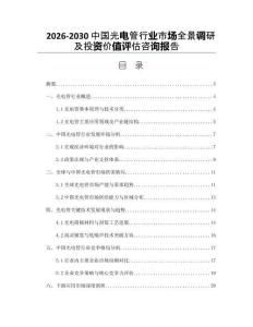 2026-2030中國光電管行業(yè)市場全景調(diào)研及投資價(jià)值評(píng)估咨詢報(bào)告