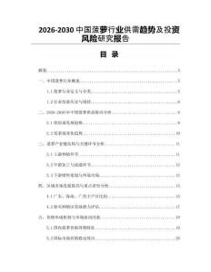 2026-2030中國菠蘿行業(yè)供需趨勢及投資風險研究報告