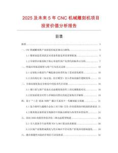 2025及未來(lái)5年CNC機(jī)械雕刻機(jī)項(xiàng)目投資價(jià)值分析報(bào)告