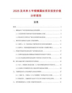 2025及未來5年銅鎳扁絲項目投資價值分析報告