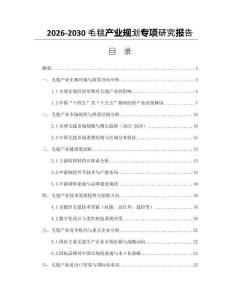 2026-2030毛毯產(chǎn)業(yè)規(guī)劃專項(xiàng)研究報(bào)告
