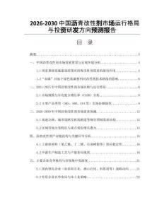 2026-2030中国沥青改性剂市场运行格局与投资研发方向预测报告