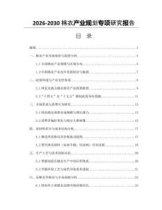 2026-2030棉衣產業規劃專項研究報告