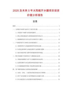 2025及未來5年太陽能開水器項目投資價值分析報告