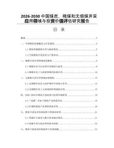 2026-2030中國(guó)煤炭，褐煤和無煙煤開采應(yīng)用領(lǐng)域與投資價(jià)值評(píng)估研究報(bào)告