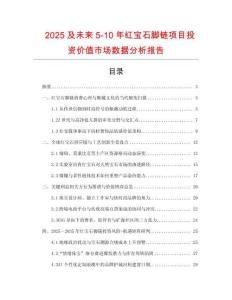 2025及未來5-10年紅寶石腳鏈項目投資價值市場數據分析報告