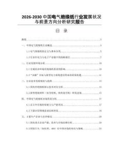 2026-2030中國電氣絕緣紙行業發展狀況與前景方向分析研究報告