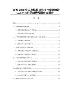 2026-2030中國聚維酮碘棉棒行業風險評估及未來供需趨勢預測研究報告
